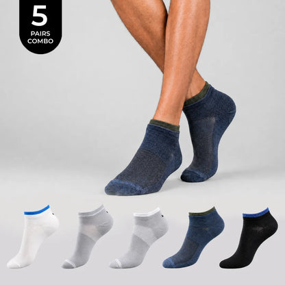 Avinya 3.O Edition
