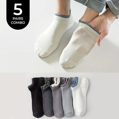 Avinya 3.O Edition