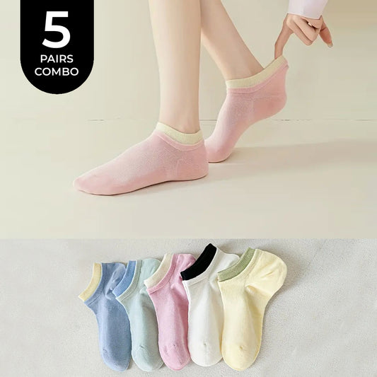 Avinya 4.O Edition